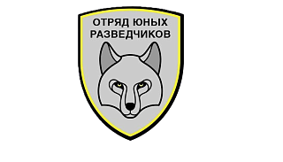 отряд юных разведчиков